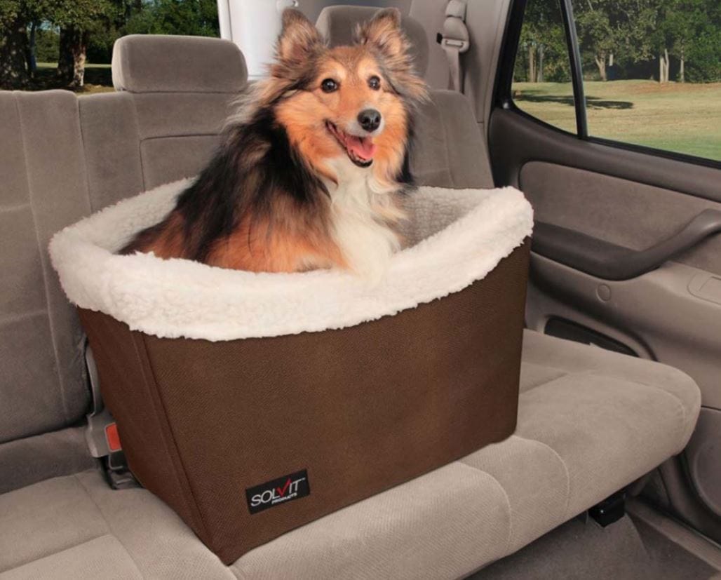 medium dog car seat with padding and inside teather