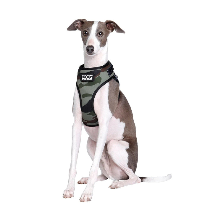 Canine-Camo Neoprene Collar - Collection