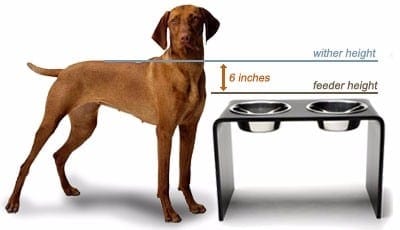 Noblesse Elevated Dog Feeder