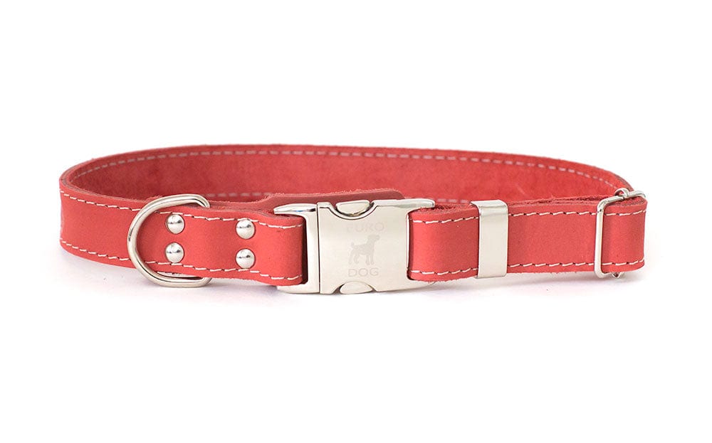 coral leather dog calloer w metal buckle