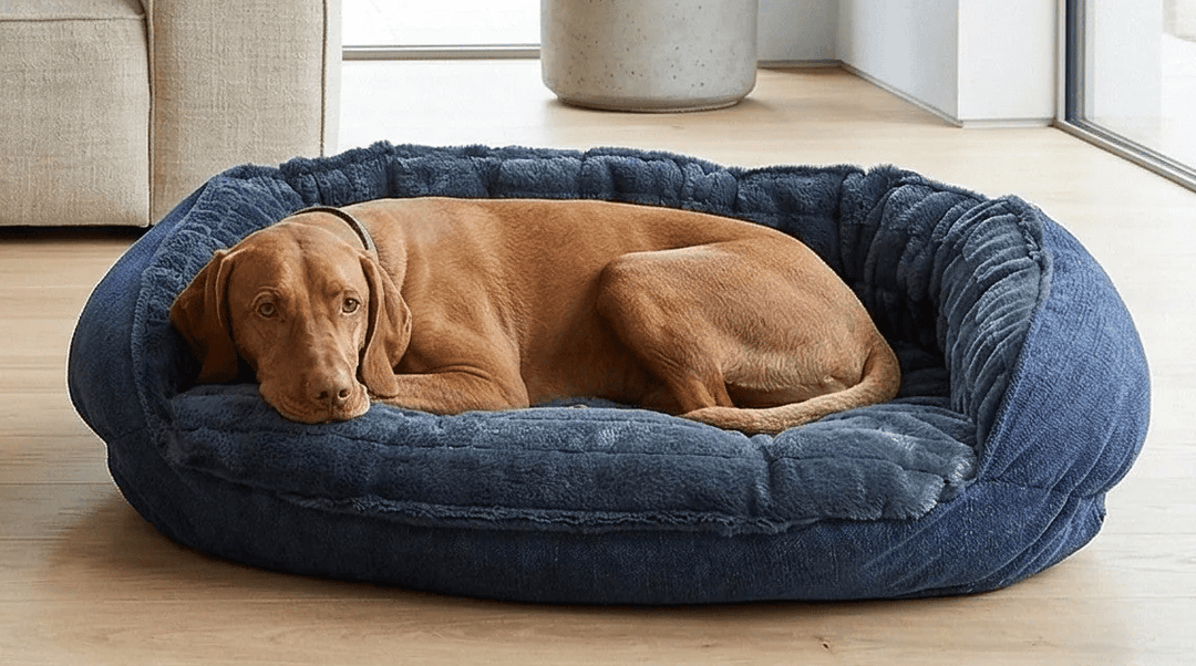 bolster-dog-bed-cresent -blue