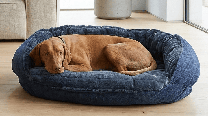 bolster-dog-bed-cresent -blue
