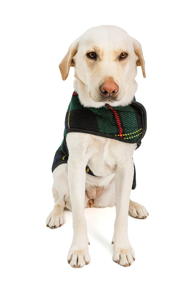 Tartan Wrap Dog Coat