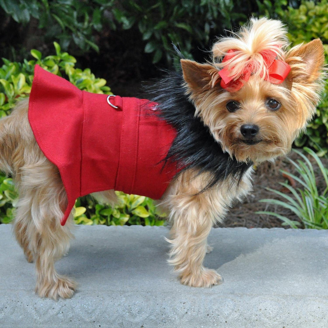 red dog coat