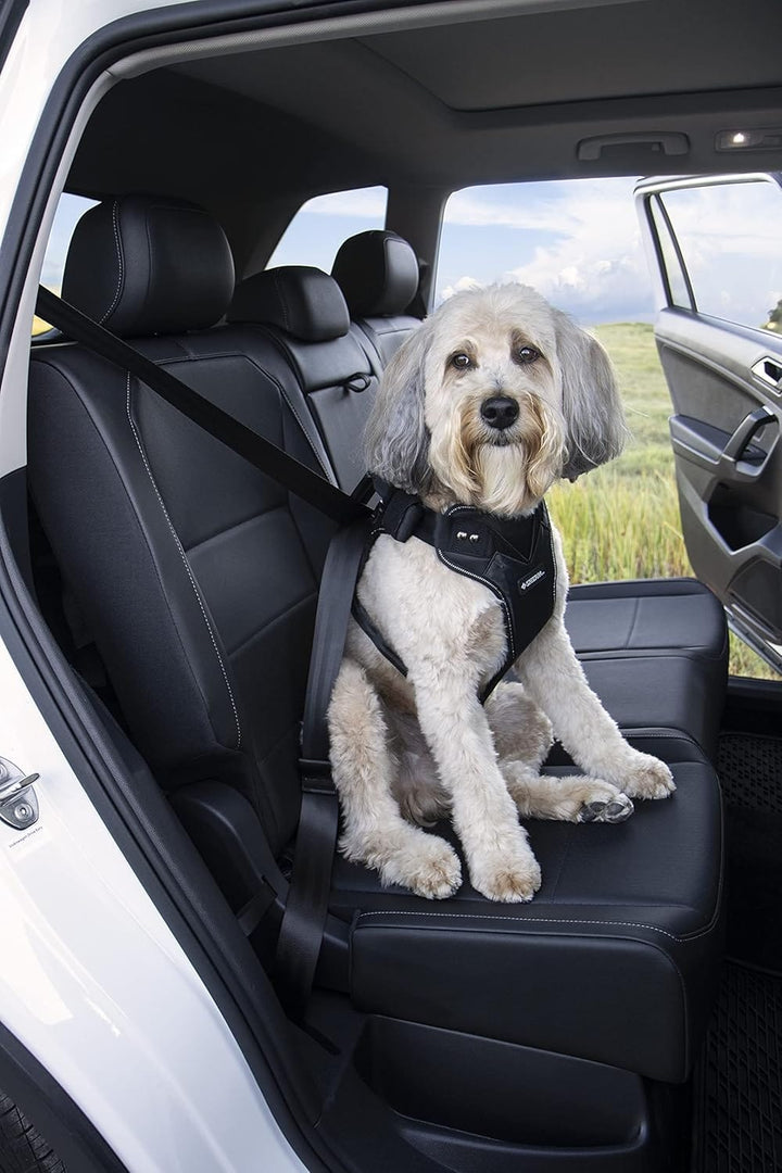 car safety harness for pets -large