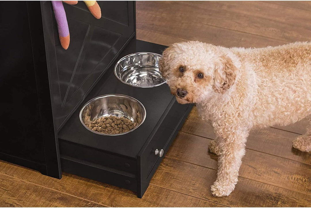 dog bowls with dog