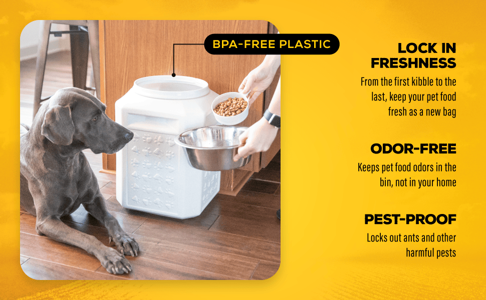 Bulk Pet Food Container Large