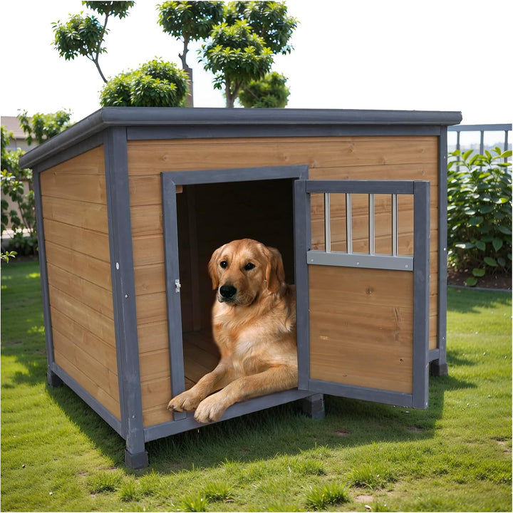 Dog House -larry&