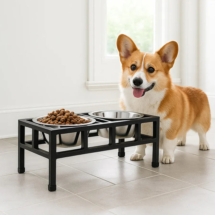 feeding station for dogs mission type 4 square -black