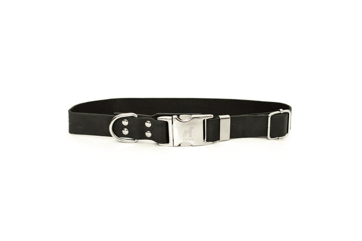 eurodog leather collar