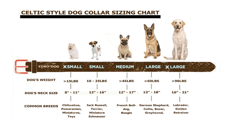 Euro -USA- Leather Collar - Brazos