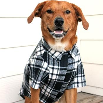 black and white flannel dog shirt