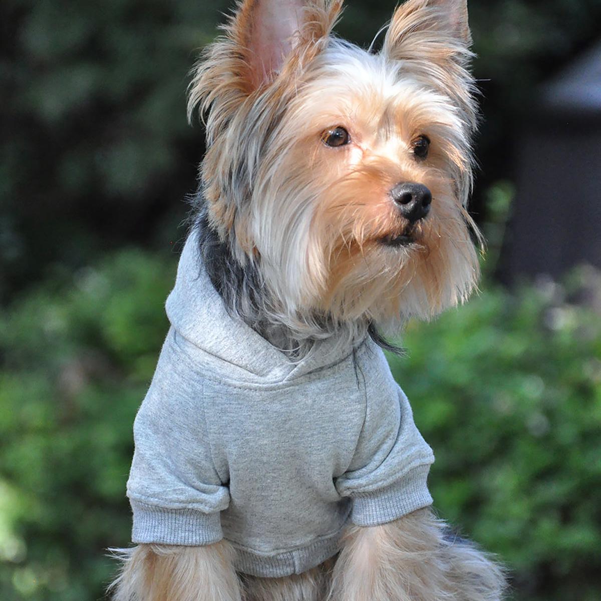 gray flex comfort dog hoodie