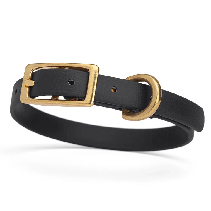 black dog collar w brass hardware