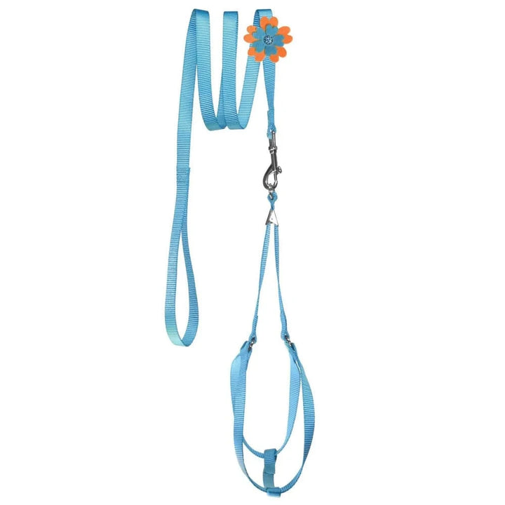 Step-In Harness & Lead