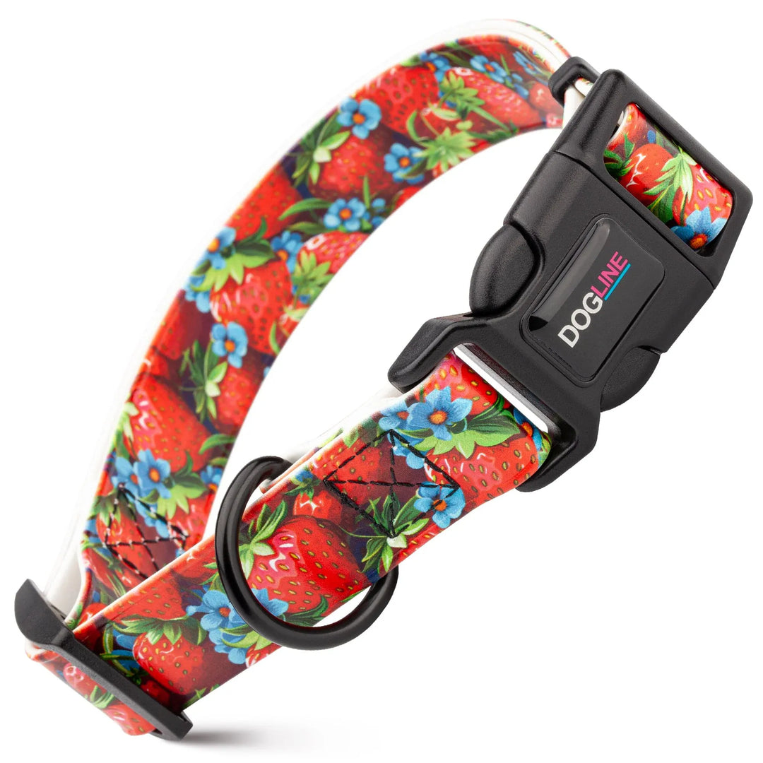 Dog collar with strawberry pattern and visible brand name on a white background
