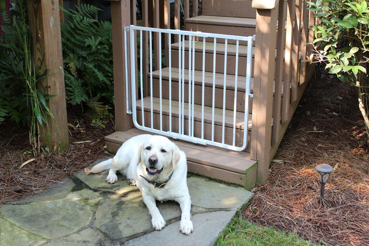 Indoor/Outdoor Dog Gate-White