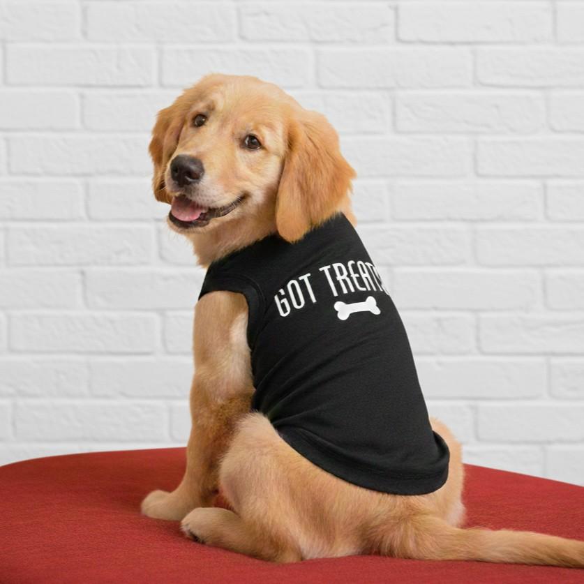 black dog shirt with words got treats?