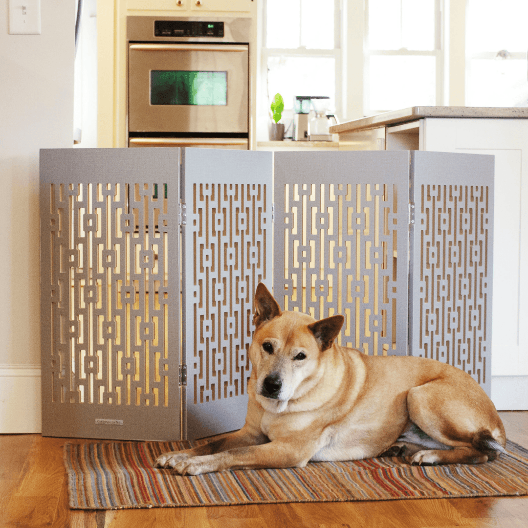 gray  indoor pet gate Dog Barrier