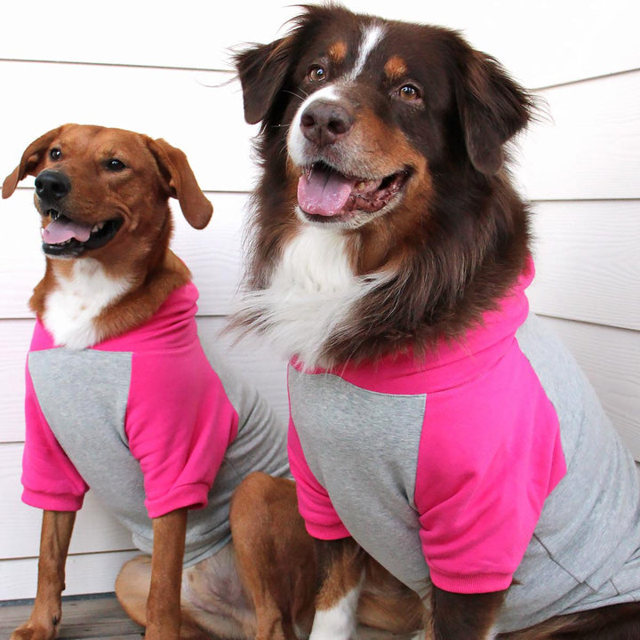 pink and gray hoodie for dogs