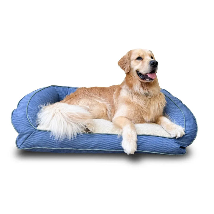 bolster dog bed -blue checkered with accent piping