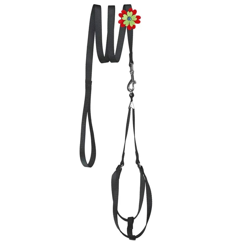 Step-In Harness & Lead