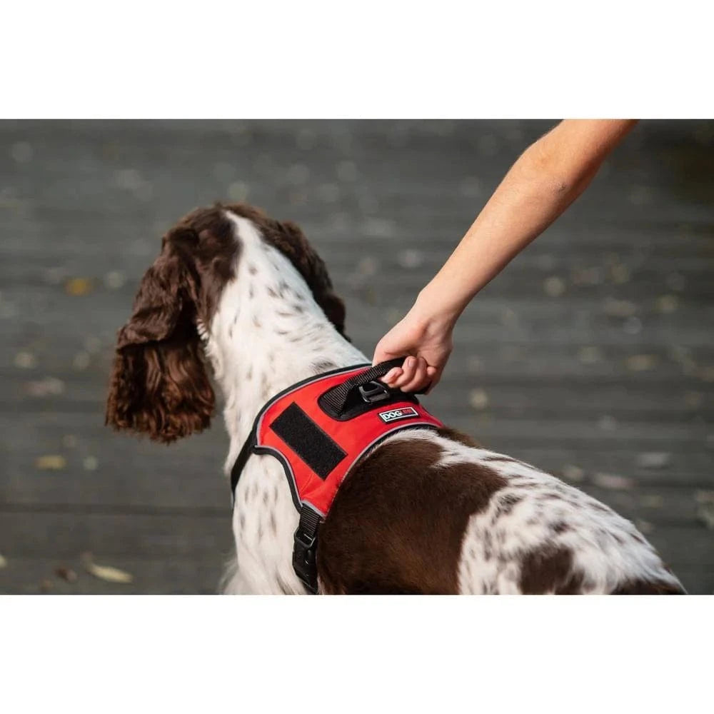 red dog harness no pull