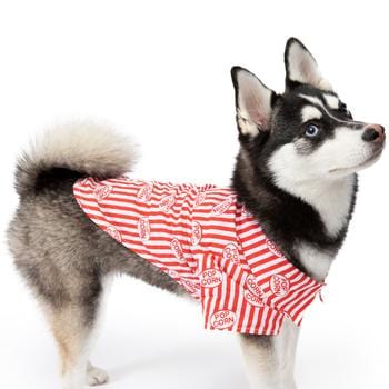 retro popcorn  box shirt