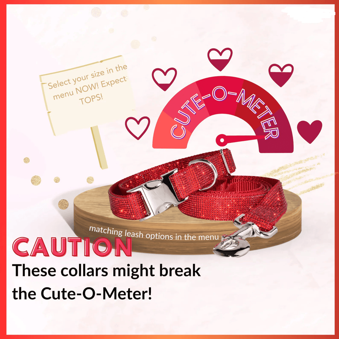 Red Rhinestone Metal Buckle Collar