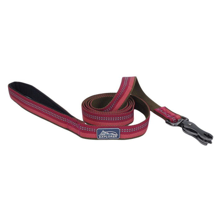 berry leash k9 explorer