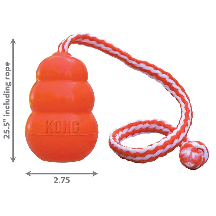 KONG Aqua Floating Water Dog Toy