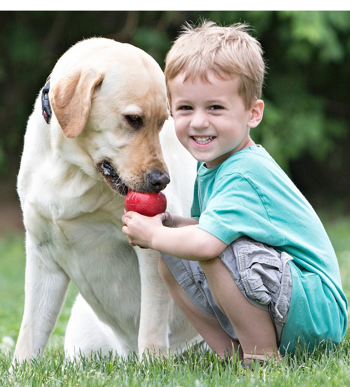 Kong natural rubber stufable dog toy