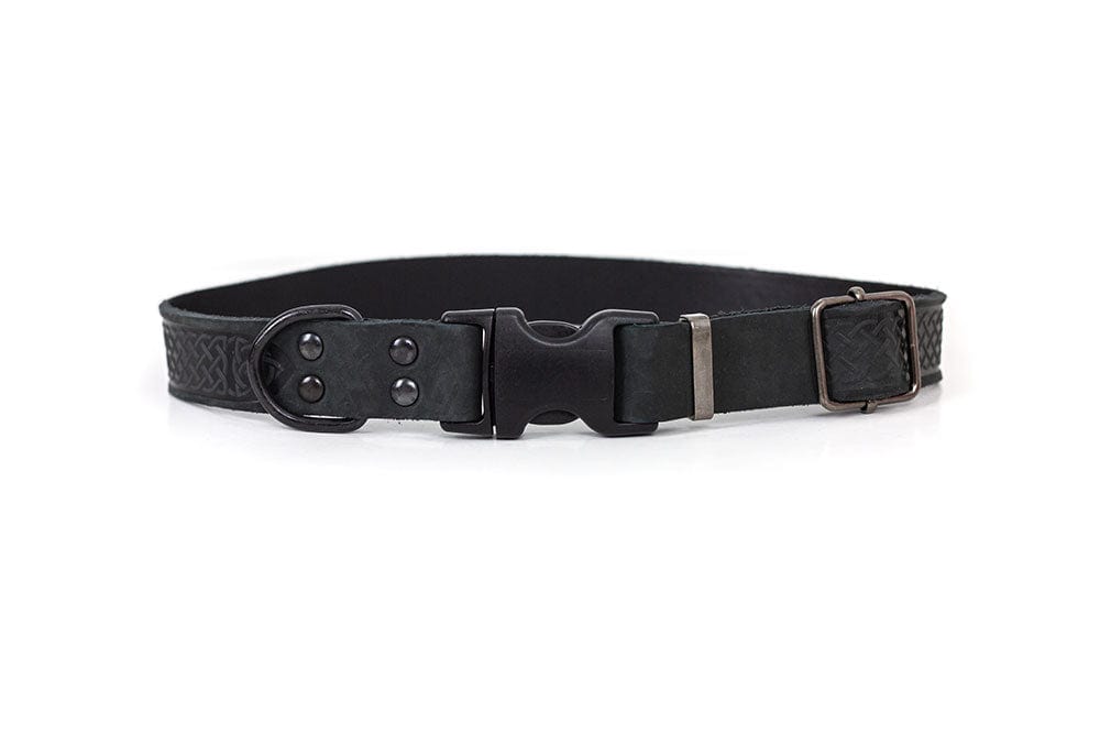 blac leather colar with black hardware and d ring for leash