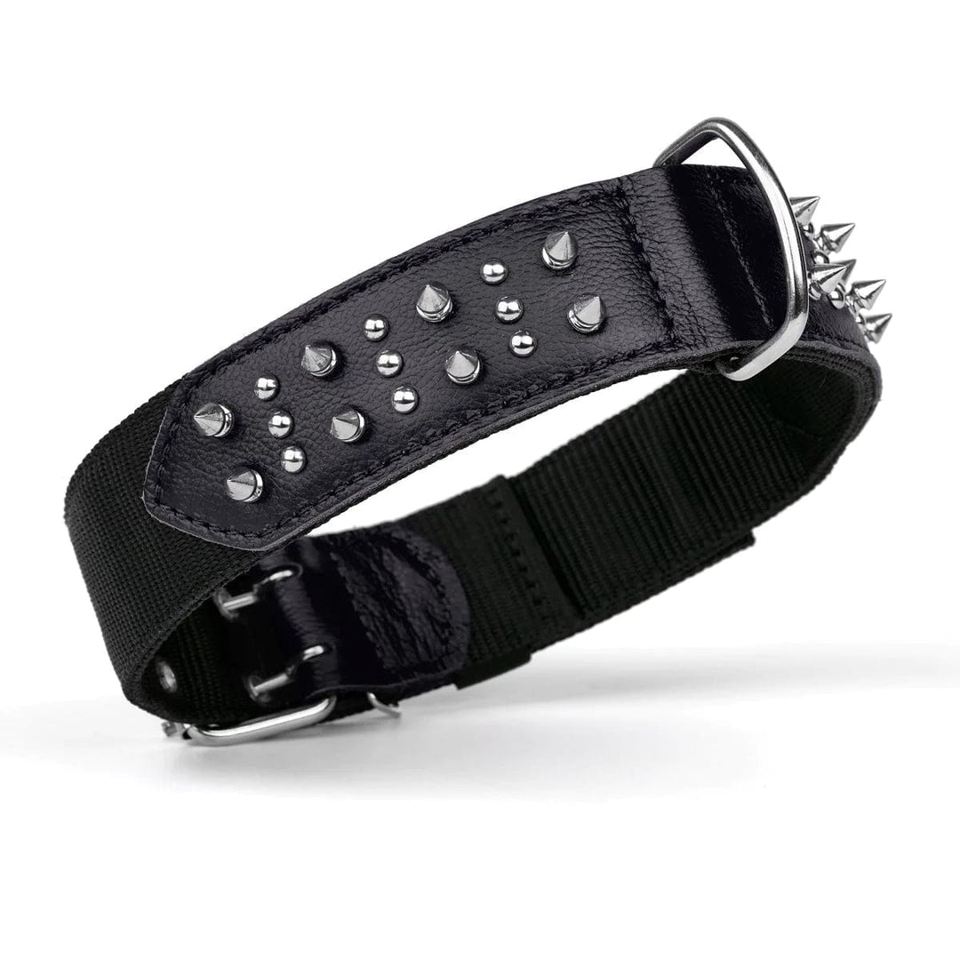 Spiked Leather Collars
