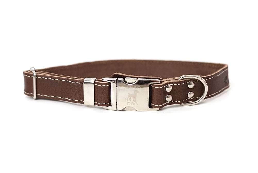 brown leather dog collar with metal quick release 