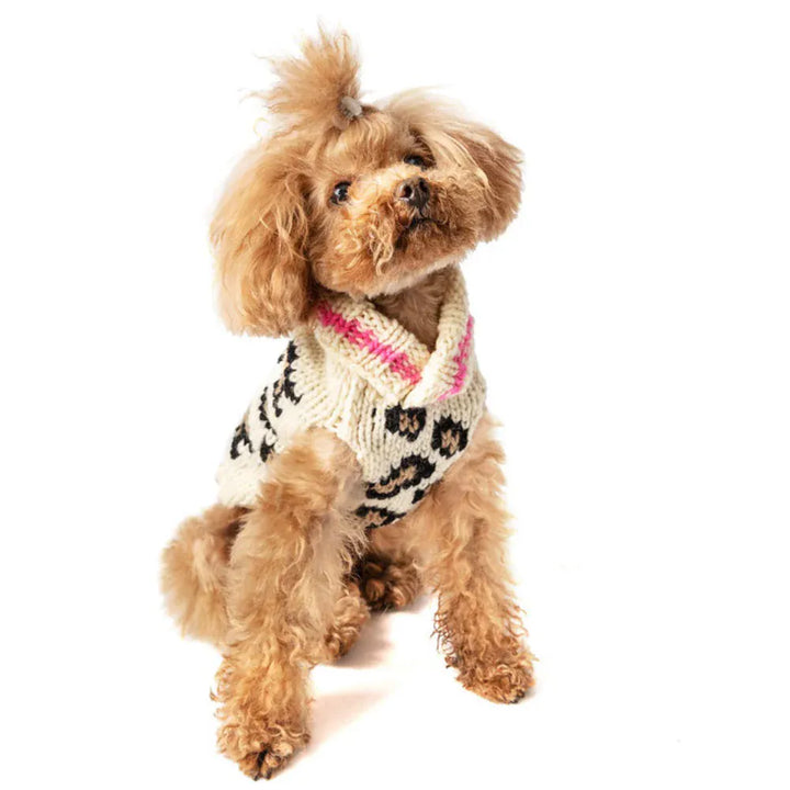 Classic Leopard Knit Dog Sweater