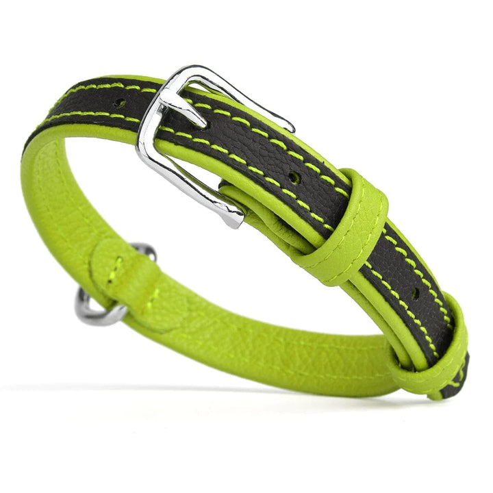 lime leather dog collar green