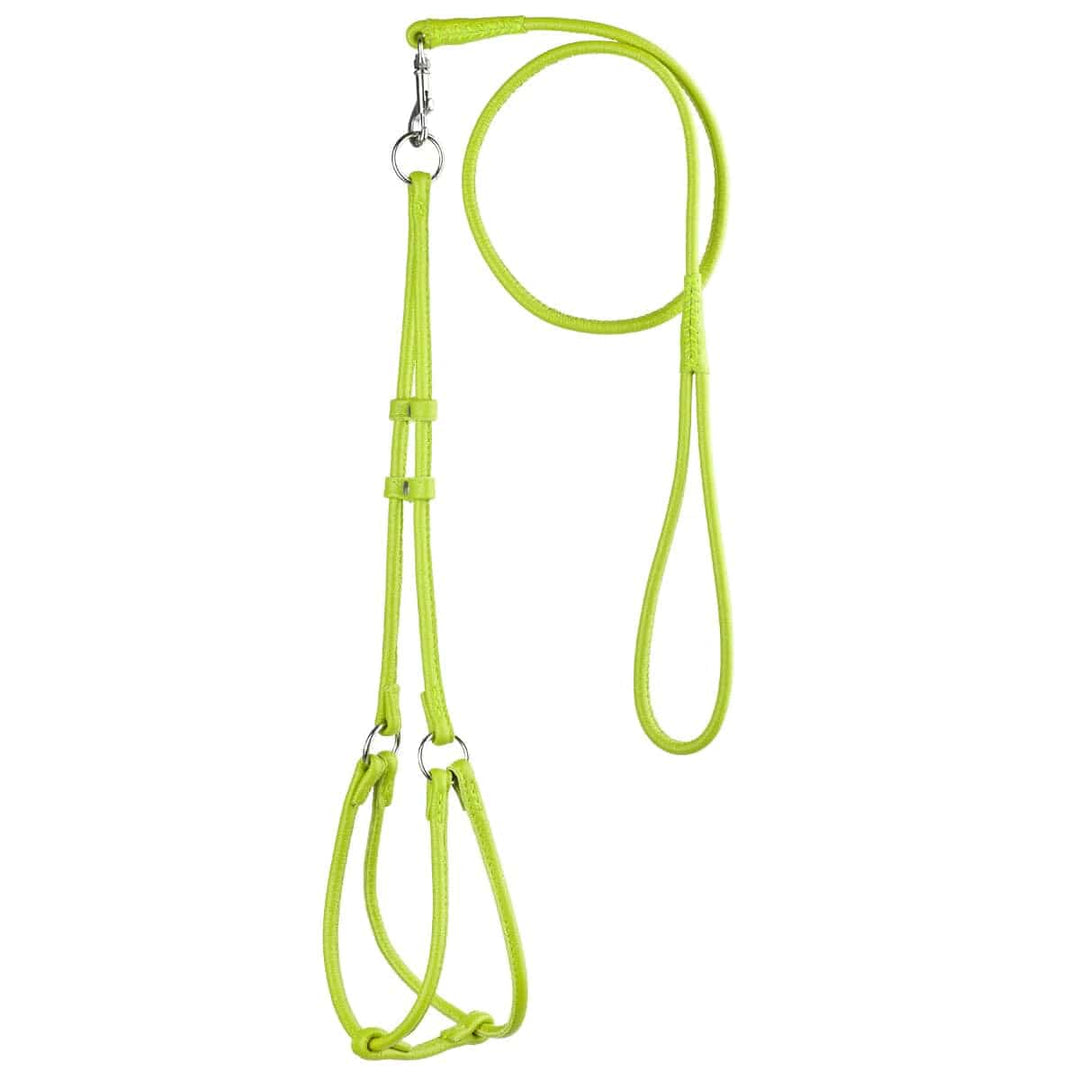 lime green lead-harness combo