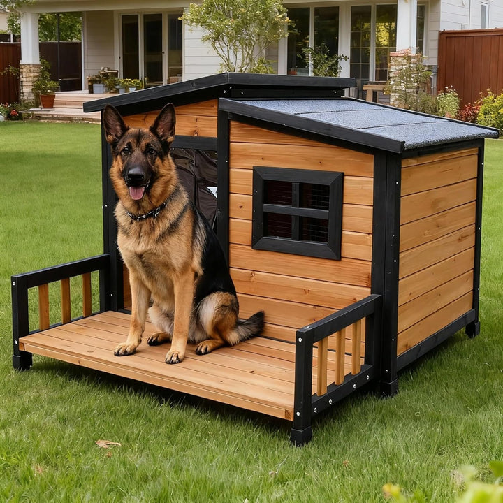 modern dog house condo outside