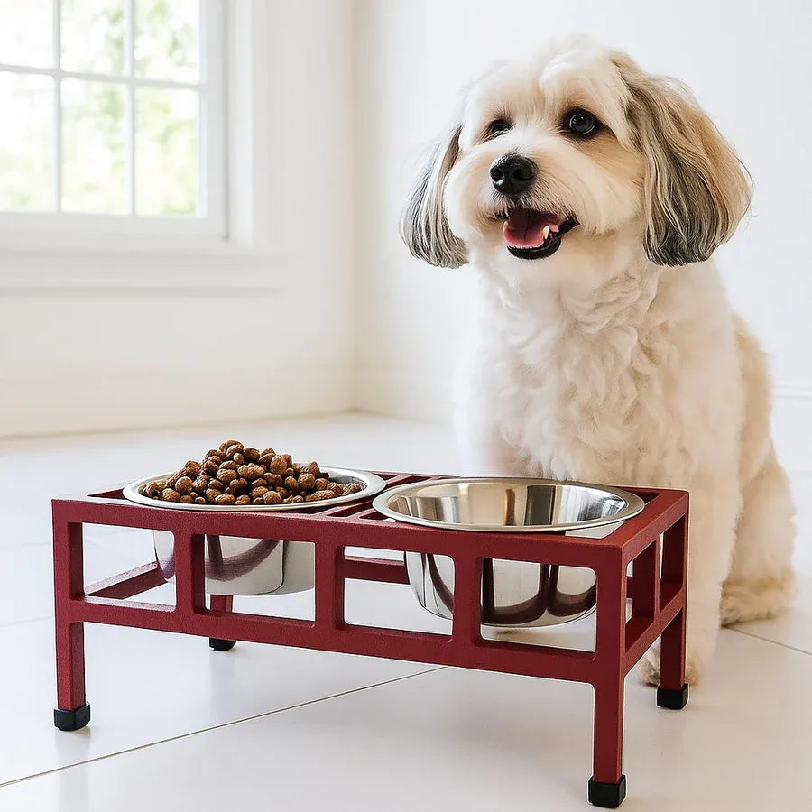 cherry red elevated dog feeder