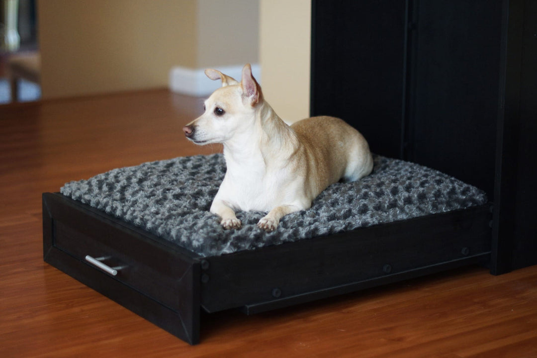 Espresso Murphy Bed For Pets