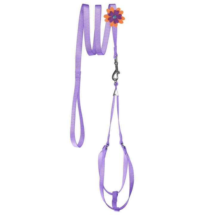 harness leash combination dogline