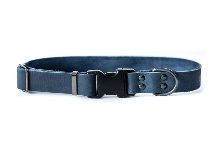 navy blue dog collar all leather with quick realese molded buckle