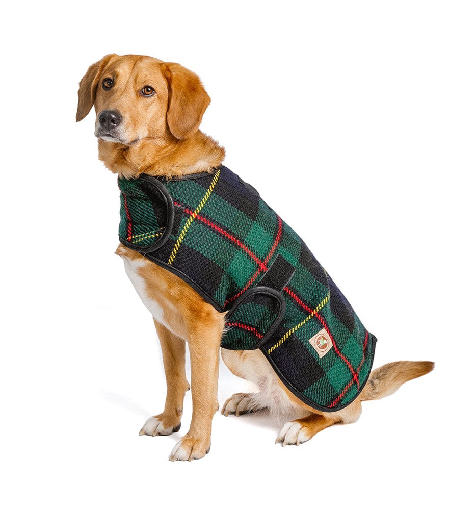 plaid navy red green dog coat wrap