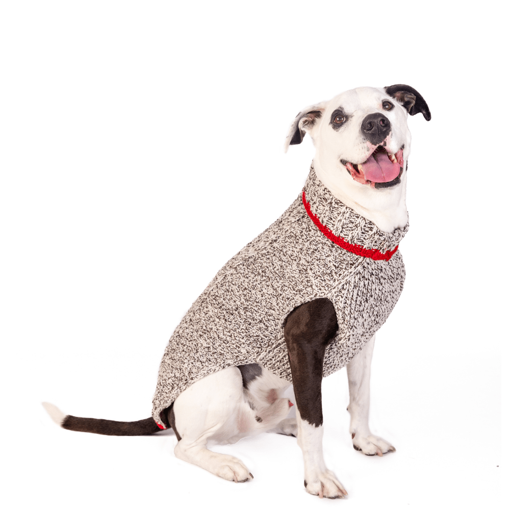 oatmeal dog sweater w /red tri