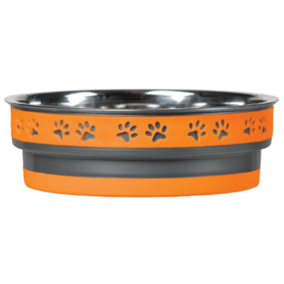 Orange-dog-bowl