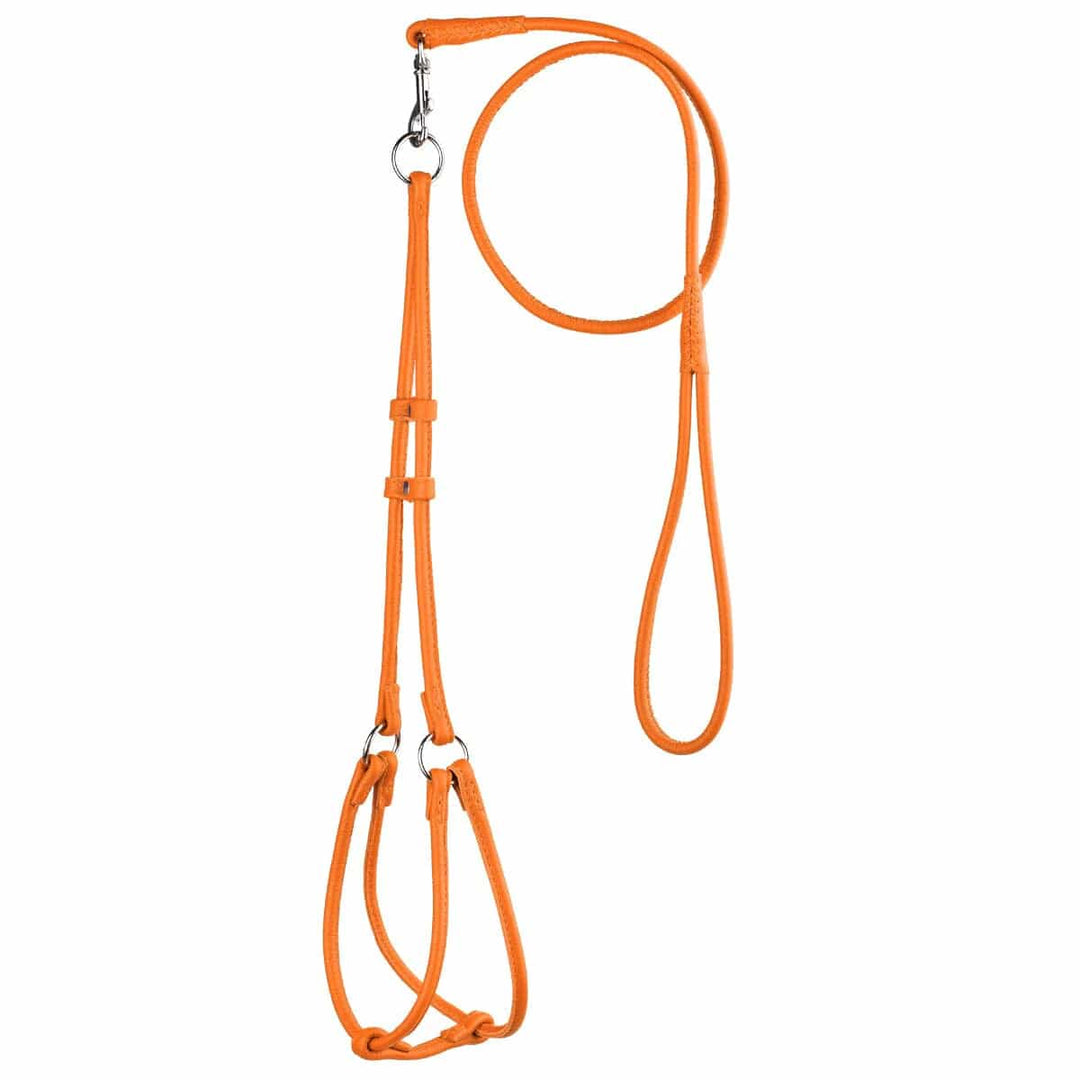 orange lead-harness combo