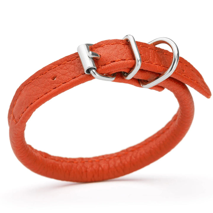 orange premium-rounded-leather-dog-collar-with silver buckle hardware