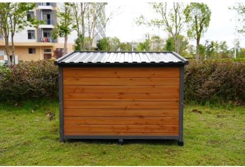 dog house rear