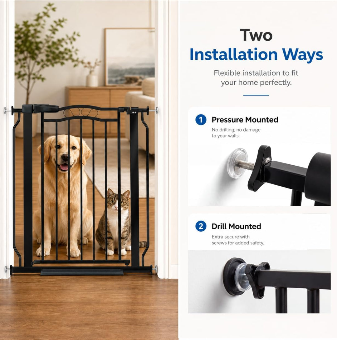 Scroll Accent EX-Wide Dog Gate - Black